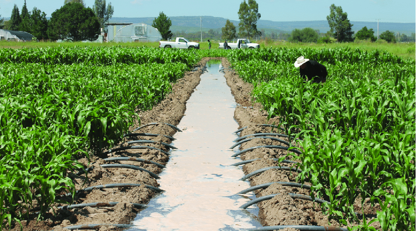 Canal de riego